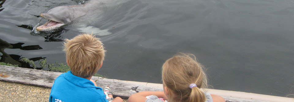 Dromen worden werkelijkheid